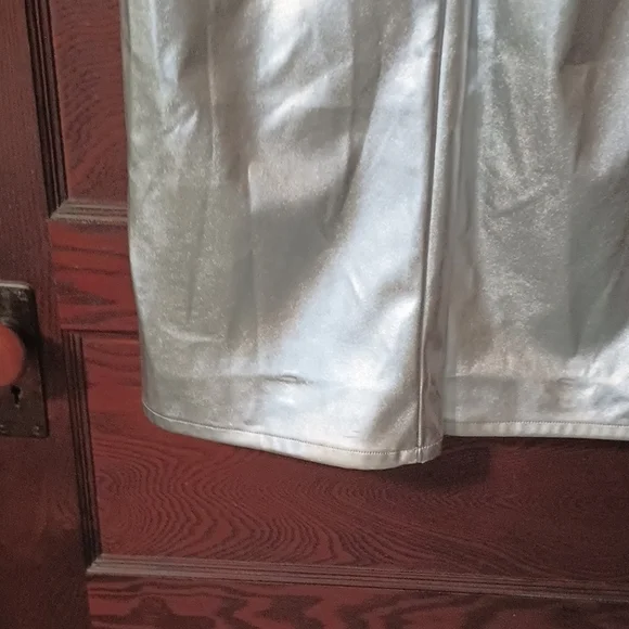 Shiny Silver Pants - Picture 4 of 9